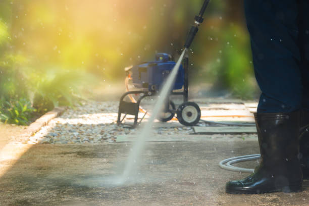 Best Roof Washing  in Waukon, IA